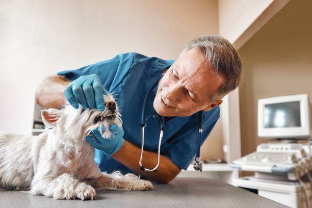 Best Weekend Emergency Dentist in Doraville, GA